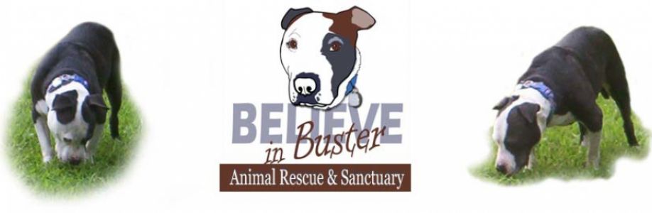 Believe in Buster Animal Rescue Cover Image