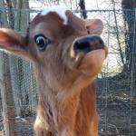 Kilowatt Profile Picture